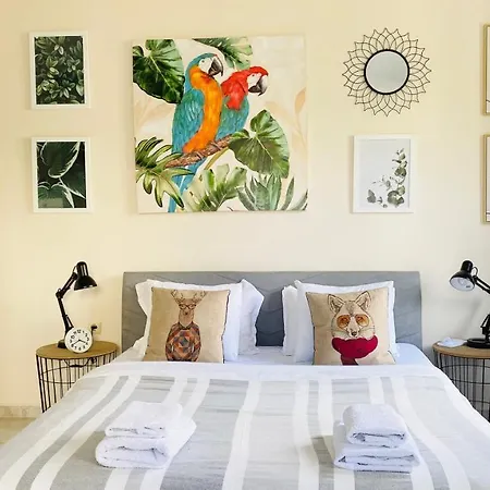 公寓 Apartello Artur - Modern - 圣弗拉斯