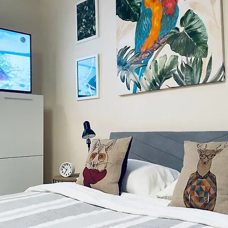 Apartello Artur - Modern - 圣弗拉斯